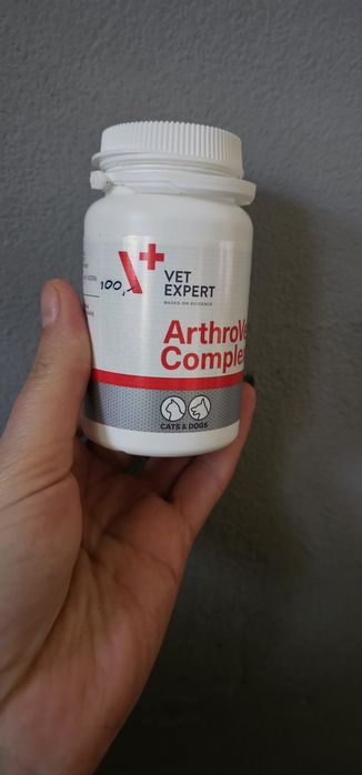 Suplementy na stawy dla psa