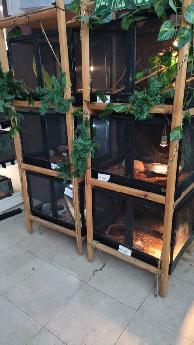 Estrutura de terrarios 60 cm,