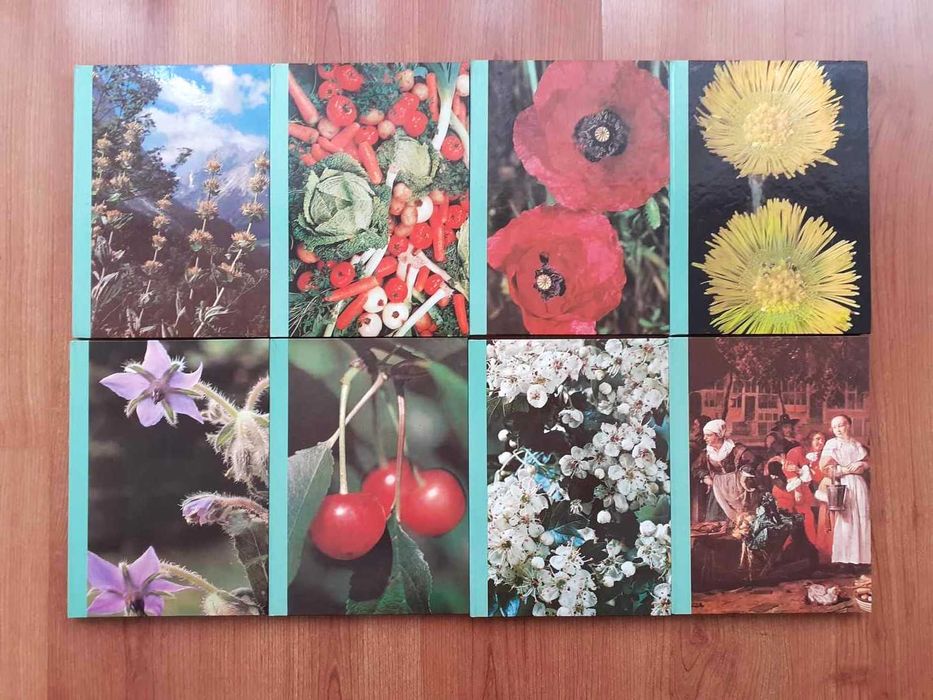 As Plantas Nossas Amigas