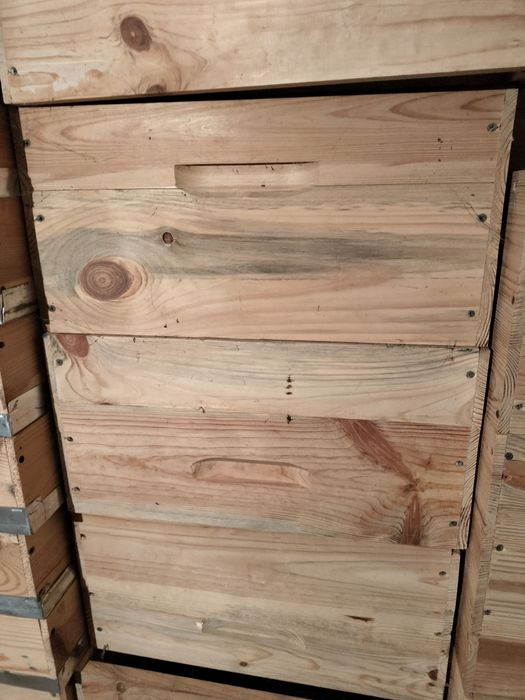 Вулики, рута і магазини
