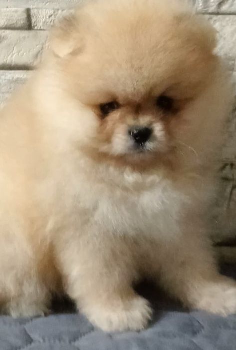 Дуже яскравий хлопчик