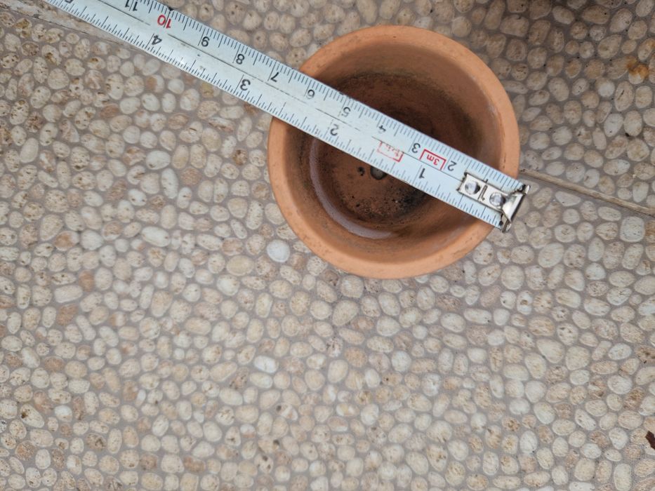 Lote de vasos de barro