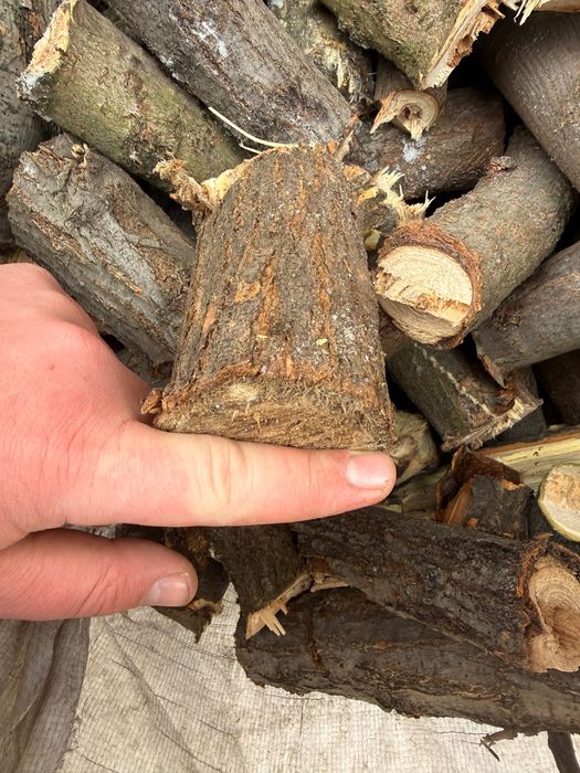 Дроблёная ветка, дрова щепа метровка дуб акация