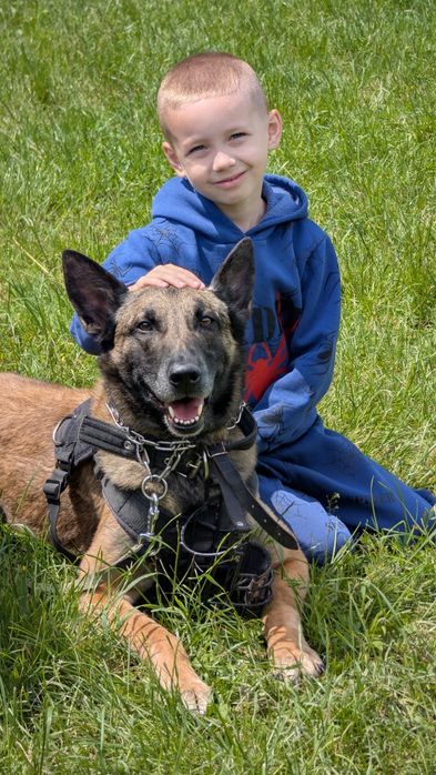 Дресирувальний клуб цербер запрошує вас на заняття.