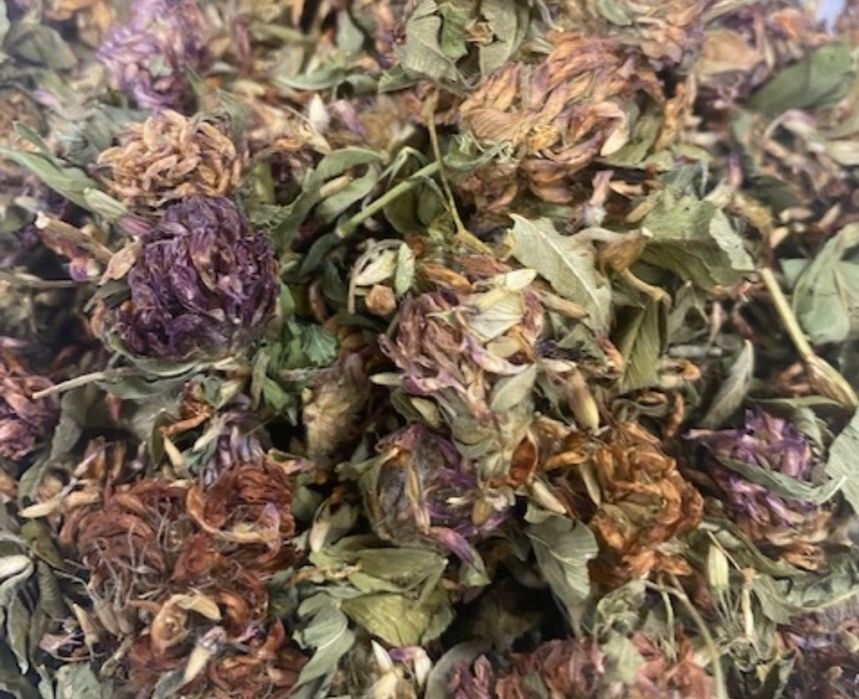 Kwiat koniczyny czerwonej 100 g