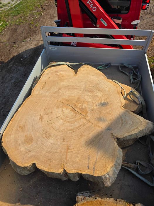 Przecieranie drewna duże monolity do 
260cm szerokości trak mobilny