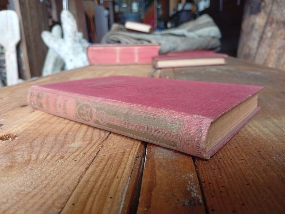 livro "A Comédia de Lisboa"