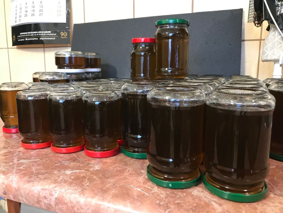 Syrop z mniszka lekarskiego