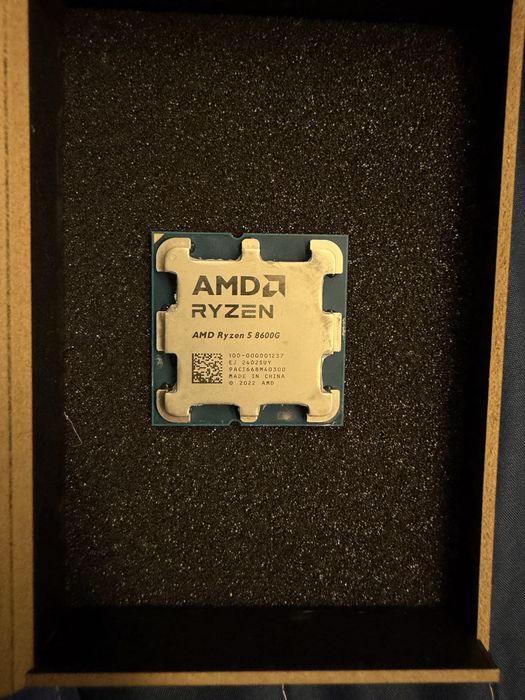 AMD RYZEN 5 8600g