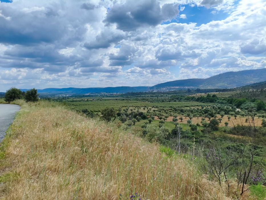 Terreno 8.200 m² — 4 parcelas rústicas com frente de estrada, perto da albufeira Açafal | Vila Velha de Ródão