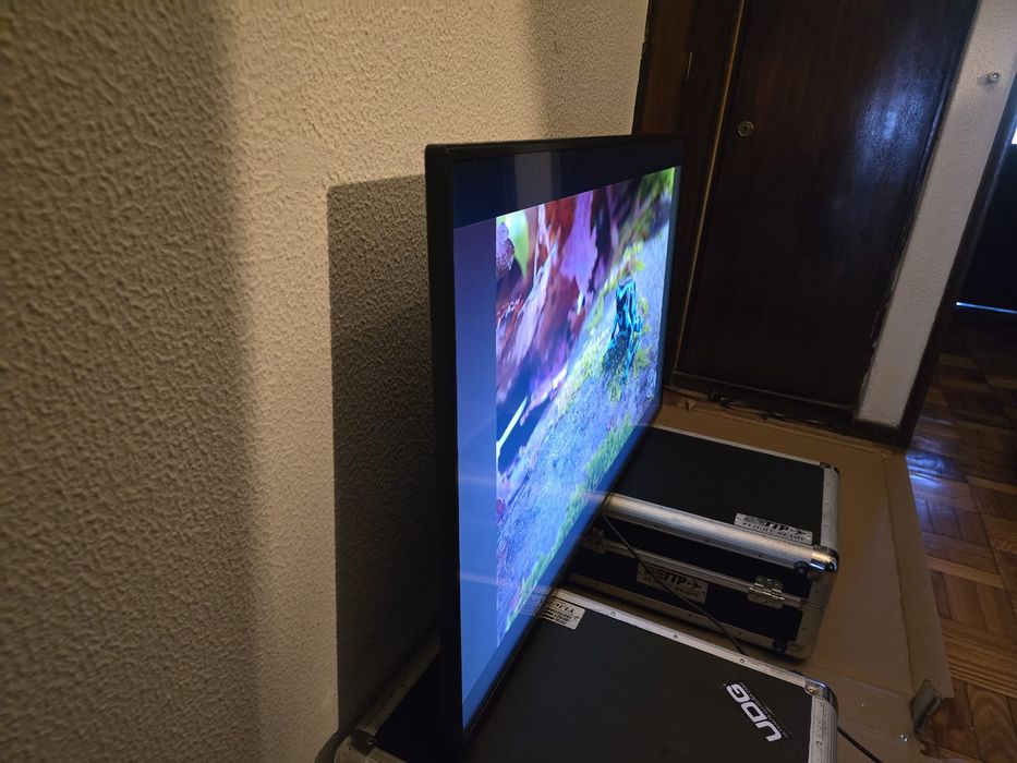 Monitor Profissional LG 49SM5D 49"