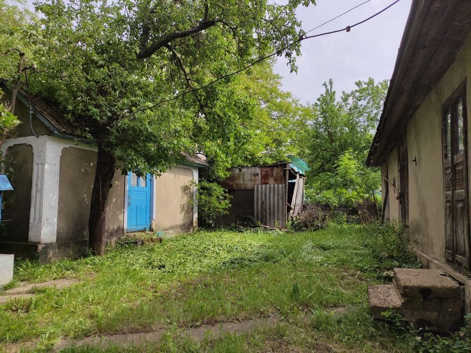 Будинок хата в с.Куражин, біля Дністра,велика земельна ділянка