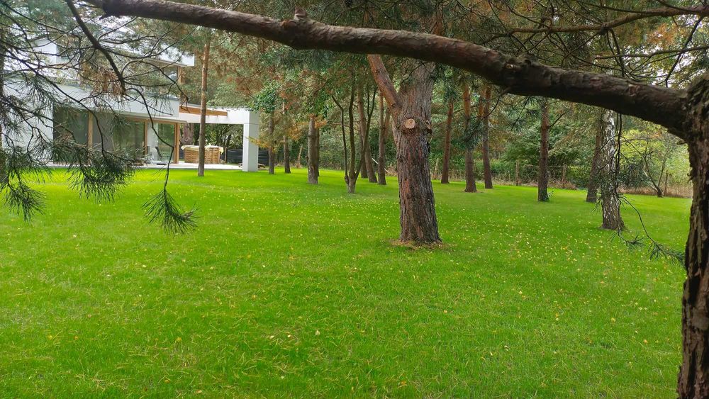 Zakładanie trawników, systemy nawadniające, usługi ogrodnicze