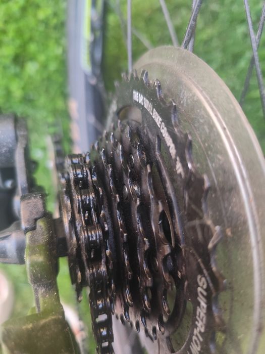 Rower Giant Revel