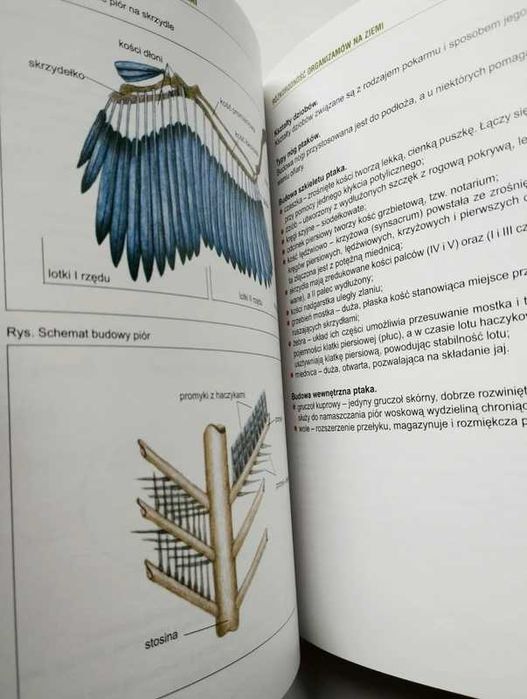 Biologia. Repetytorium dla maturzystów