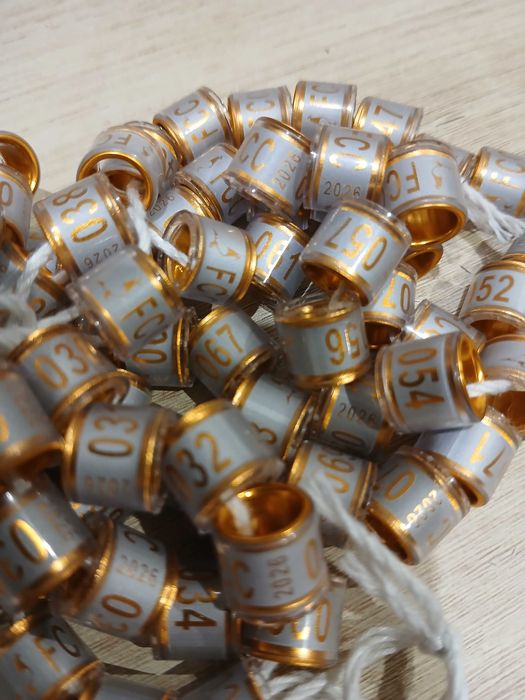 Obrączki dla gołębi pocztowych 2026