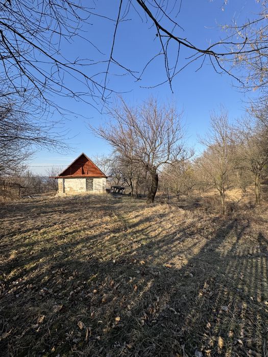 Земельна ділянка під житлову забудову та ведення господарства 33 сотки
