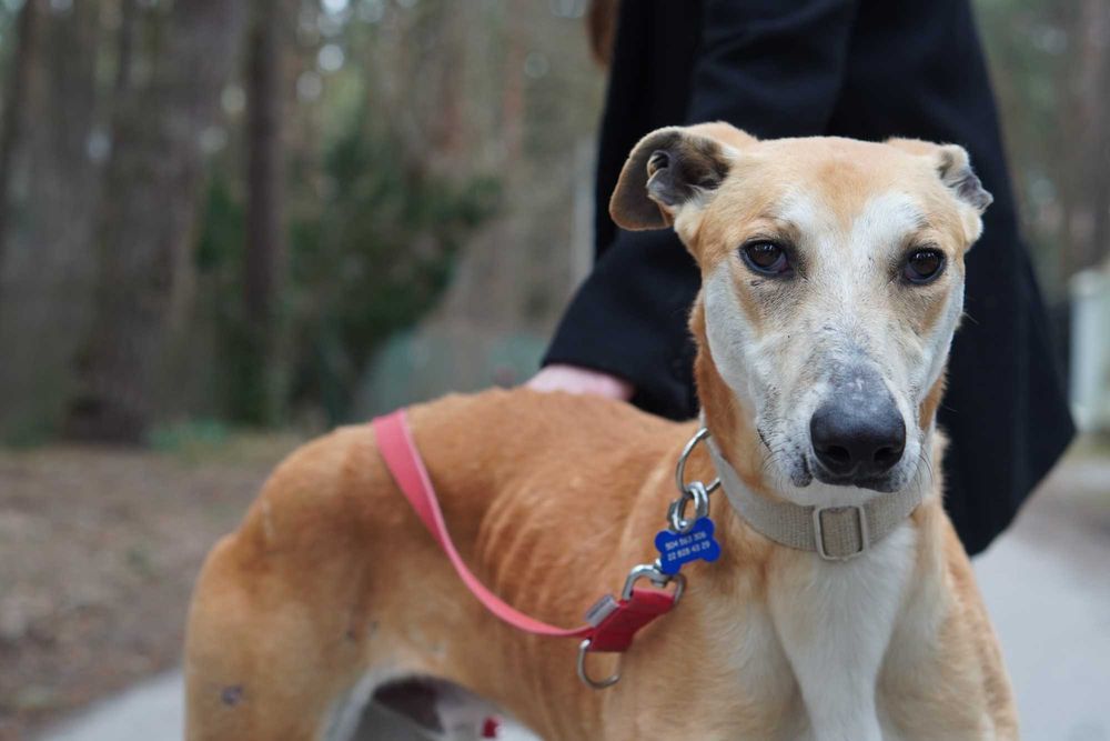 Zjawiskowy młody Julian do pokochania!