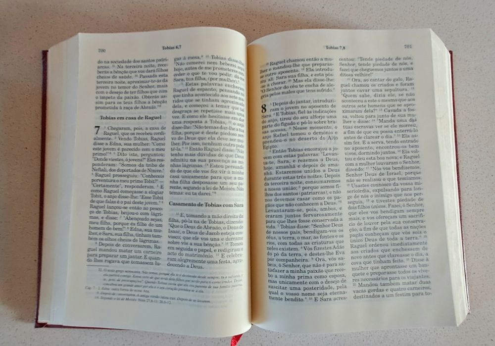 Biblia Sagrada edição capa dura