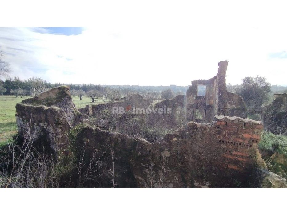 Terreno misto com 3080 m2, em Delongo