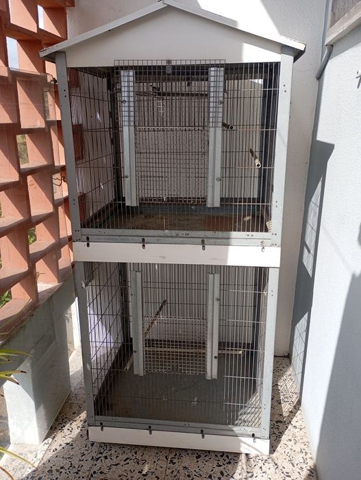 Gaiola de Aves/outras