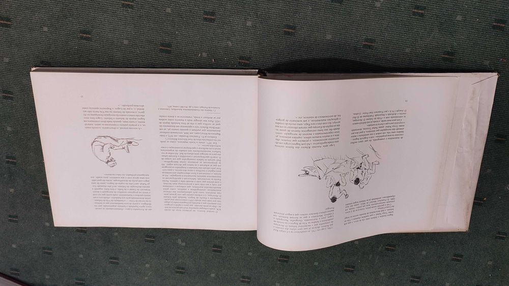 Sagres A Escola e os Navios