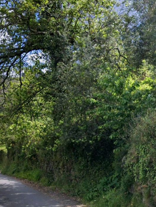 Terreno para construção em sampriz