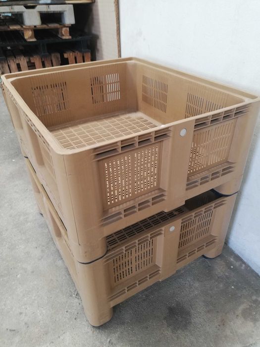 Palotes em muito bom estado