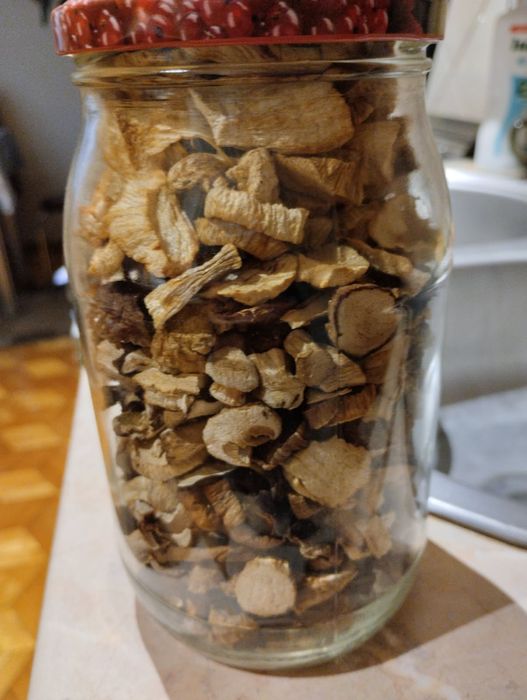 Borowik szlachetny suszony zdrowy

prawdziwek