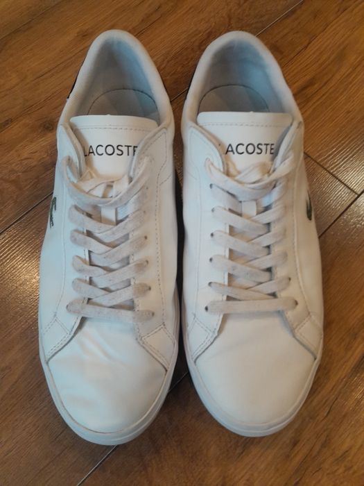 Oryginalne adidasy Lacoste
