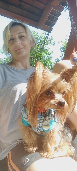 Йорк шукае наречену, вязка