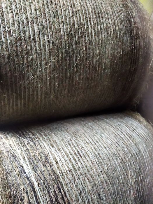 Witaj sprzedam siano w belach 120/120