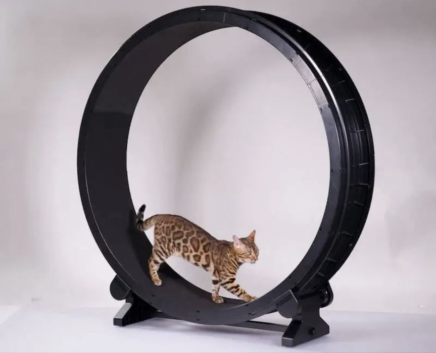 Бігове колесо для кішок One Fast Cat Gen5