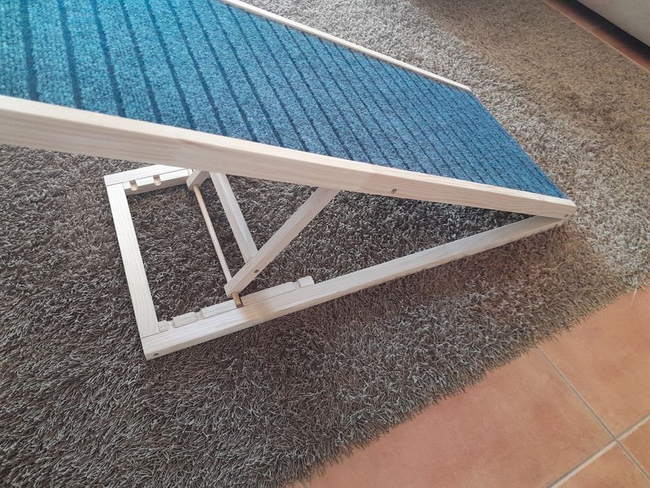 Rampa para cães  NOVA