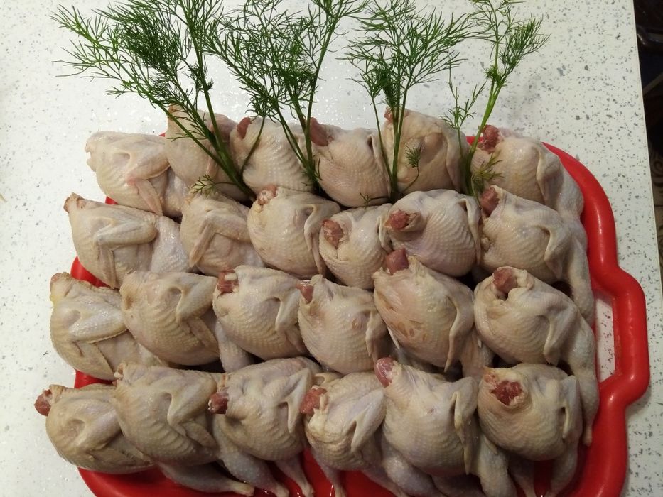 Продам перепелина продук 70грція