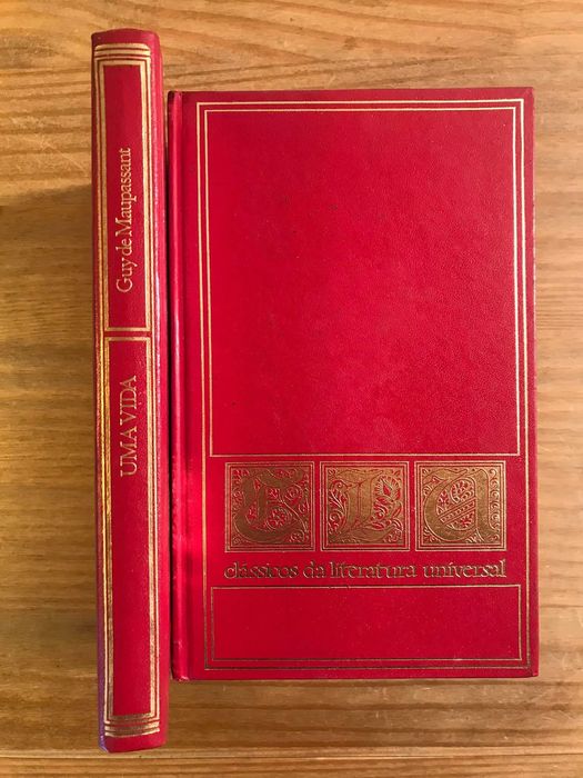 Uma Vida - Guy de Maupassant (portes grátis)