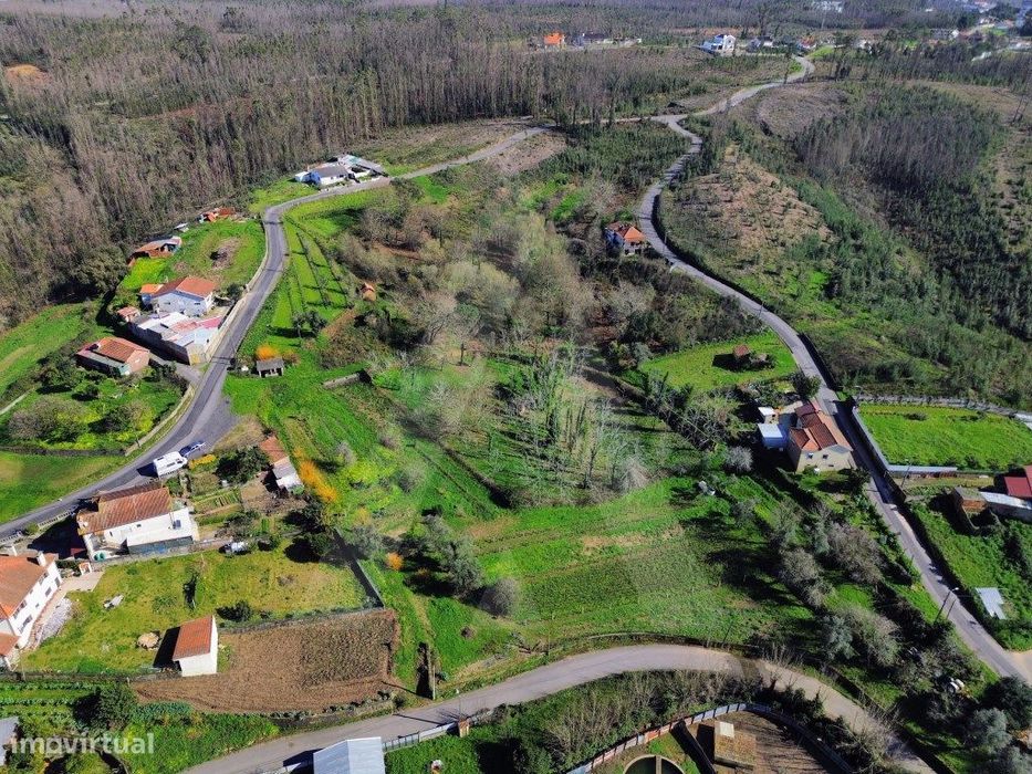 Terreno em Jafafe - Macinhata do Vouga