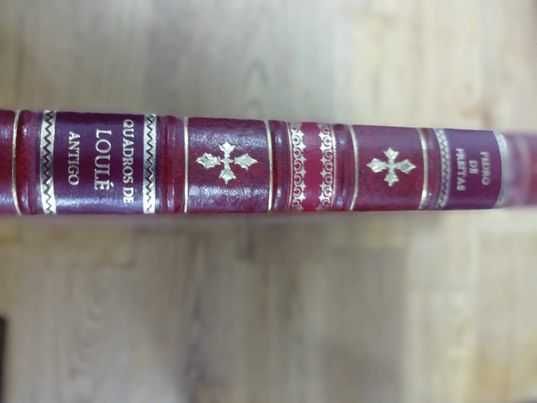 Vendo livro Quadros de Loulé antigo assinado pelo autor