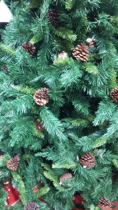 Pinheiro de natal com pinhas