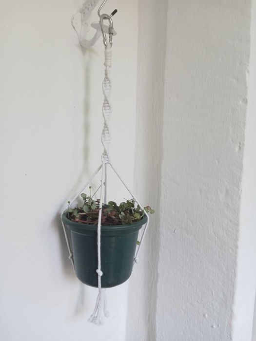 Suporte para plantas