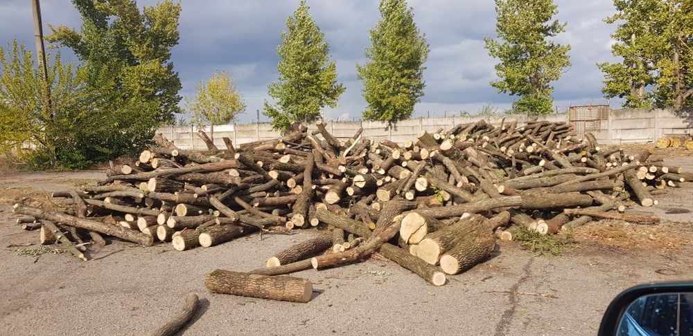 Дрова Акация цена 2500грн м3