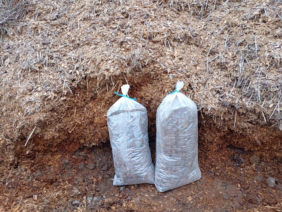 Estrume de Cavalo (puro)