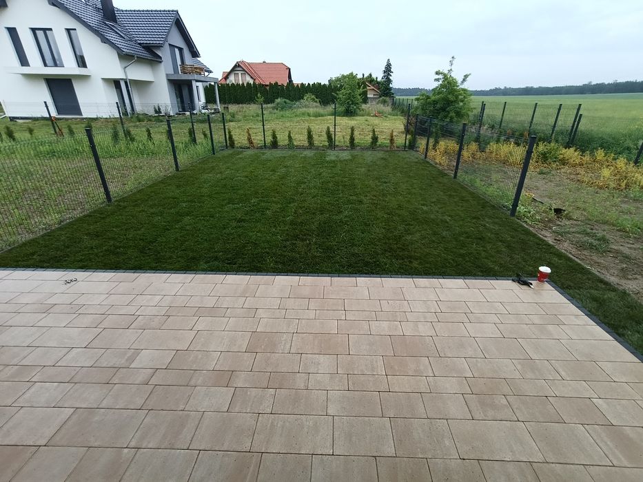 Trawnik z siewu w jeden dzień  #Trawa z rolki #nawadnianie automatyczn