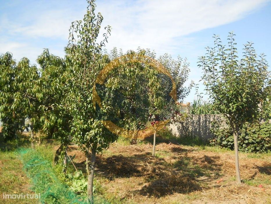 Terreno Ovar