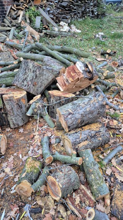 Drewno owocowe czereśnia/Jabłoń jabłko