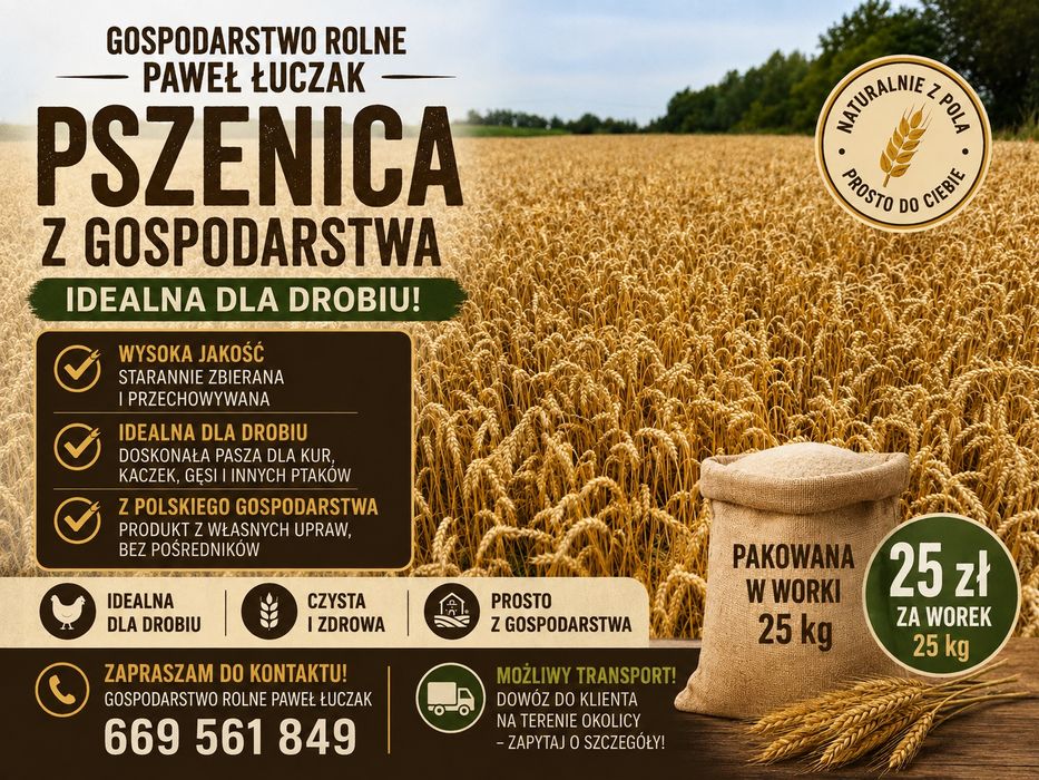 Pszenica zbiór 2026
