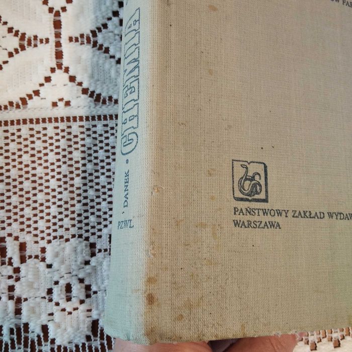 Chemia fizyczna Adam Danek