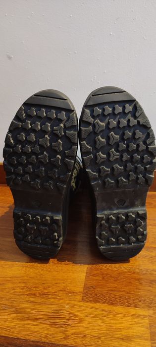 Botas Neve Quechua Adulto