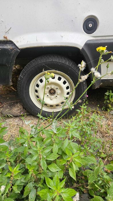 Fiat Panda 750 CL Fire Cabrio (para Peças)