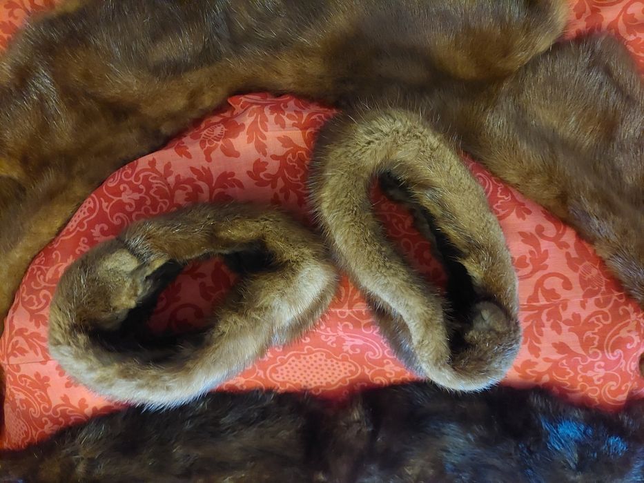 Estola, golas e punhos em vison